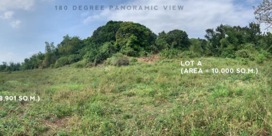 Agricultural land for sale in Pililla, Rizal