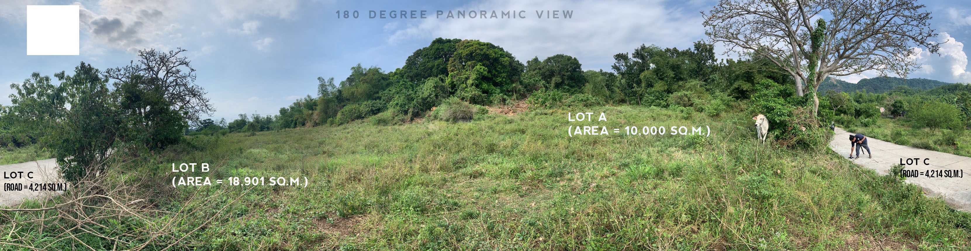 Agricultural land for sale in Pililla, Rizal, Quisao