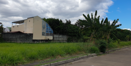 Lot For Sale in Neopolitan Fairview