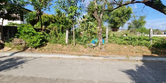 Lot For Sale in Loyola Grand Villas