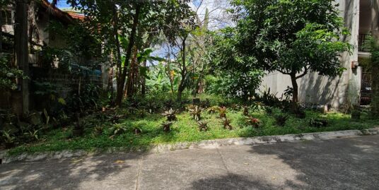 Lot For Sale in Filinvest 1, Quezon City