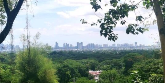 Lot For Sale in Park Ridge Antipolo