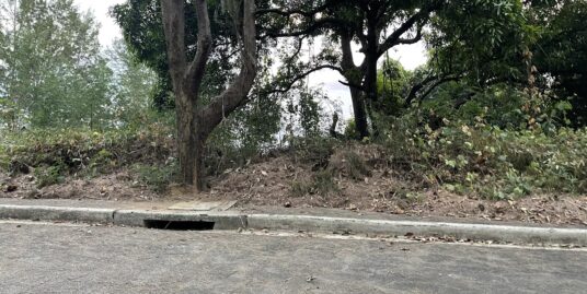 Commercial lot for sale in Club Morocco Subic